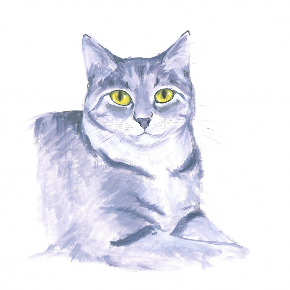 Oplettende kat door Isabelle Brent