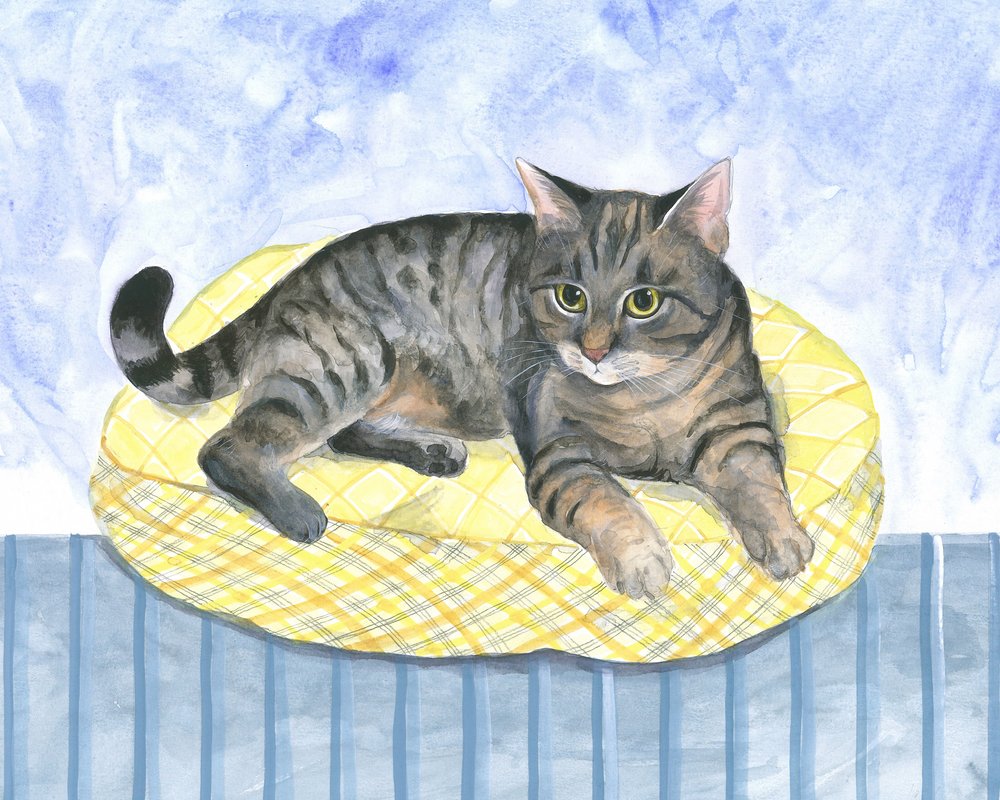 Kussenkat door Isabelle Brent