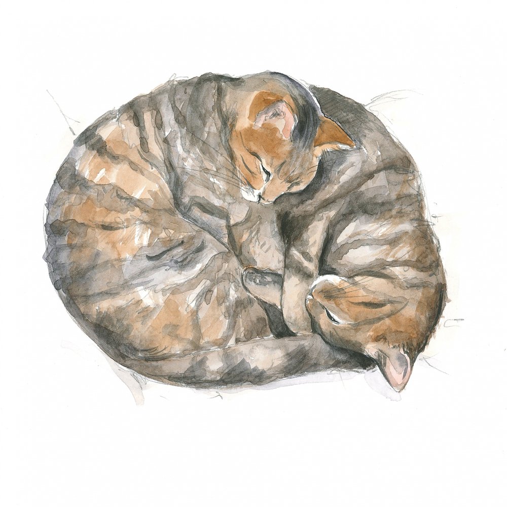 Ronde katten door Isabelle Brent