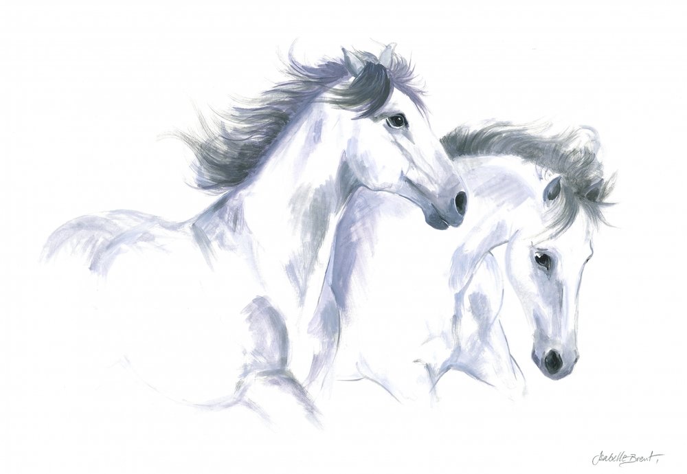 Twee paarden door Isabelle Brent
