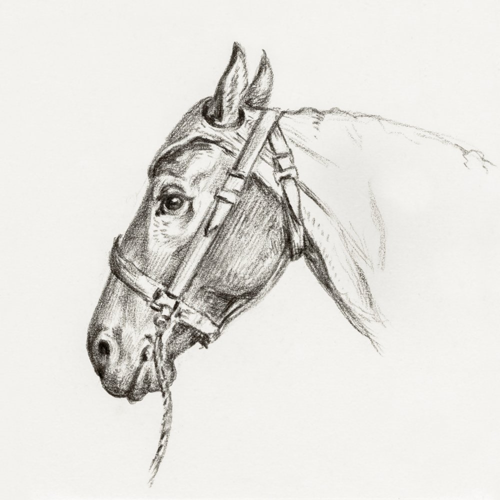 Paardenhoofd (1818) door Jean Bernard