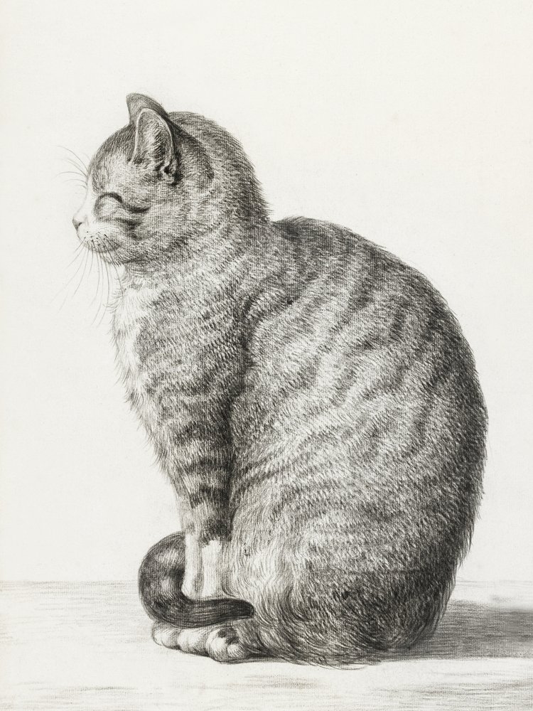 Zittende kat (1815) door Jean Bernard