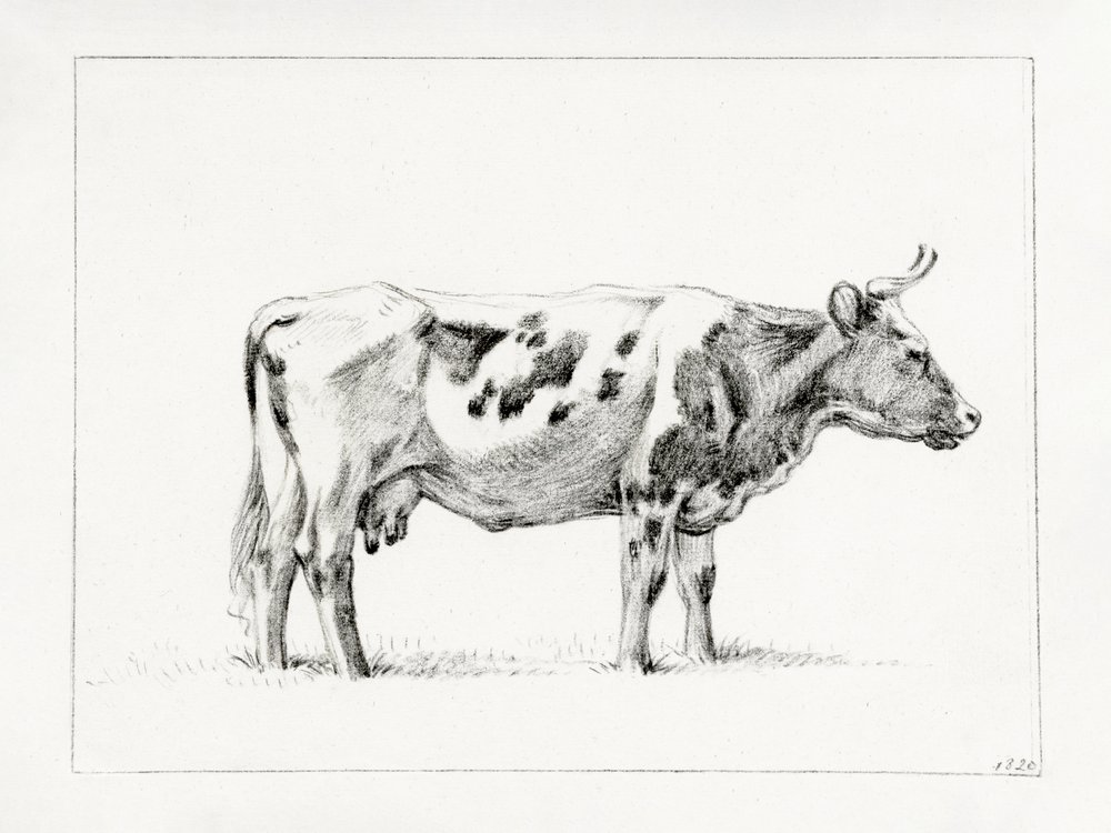 Staande koe (1820) door Jean Bernard