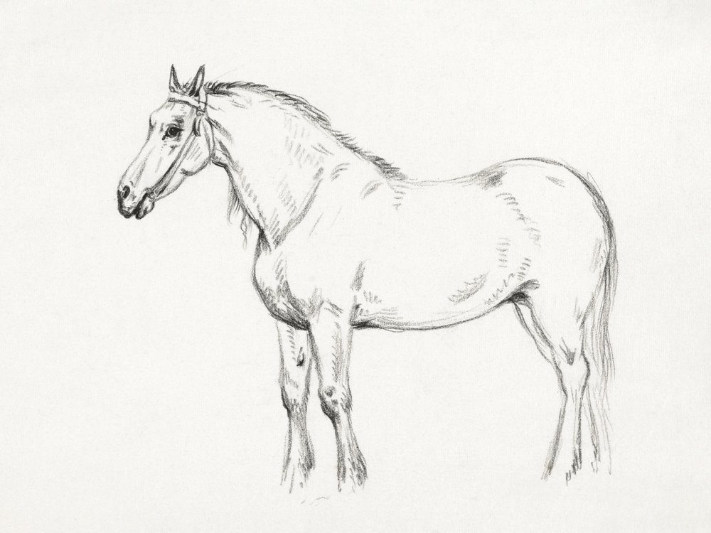 Staand paard (1818) door Jean Bernard