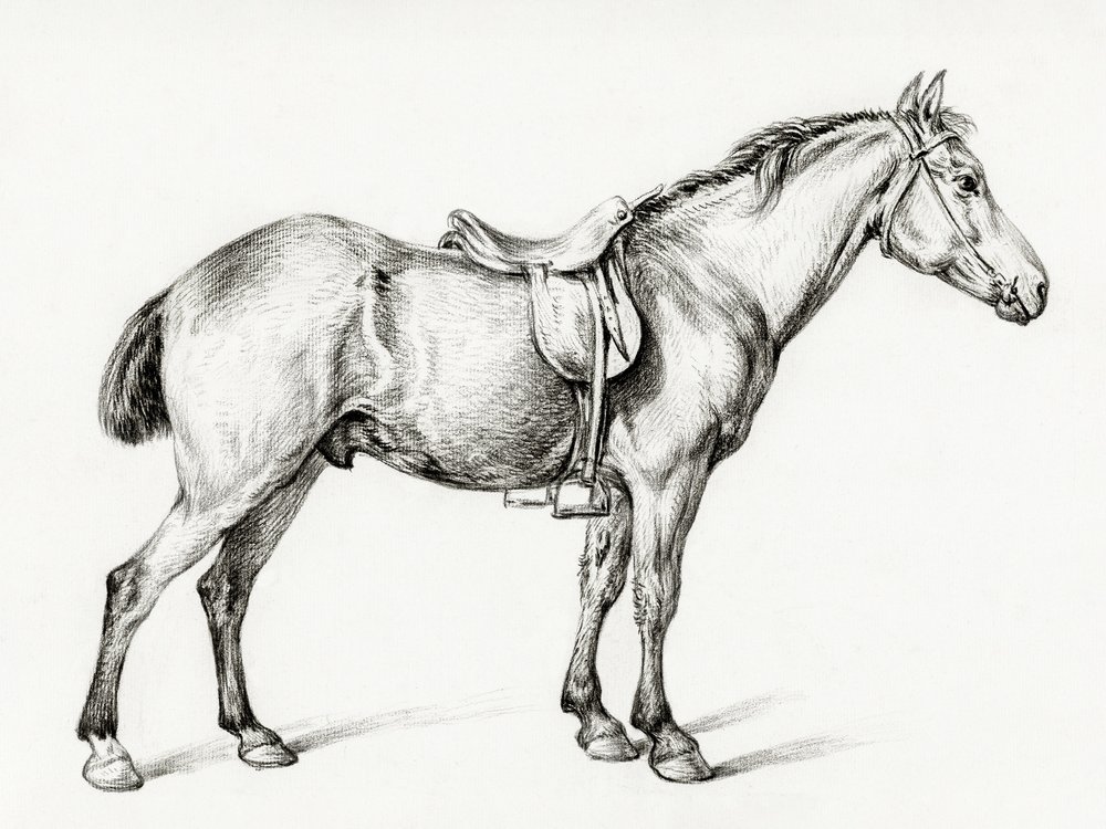 Staand paard door Jean Bernard (1775–1883) door Jean Bernard
