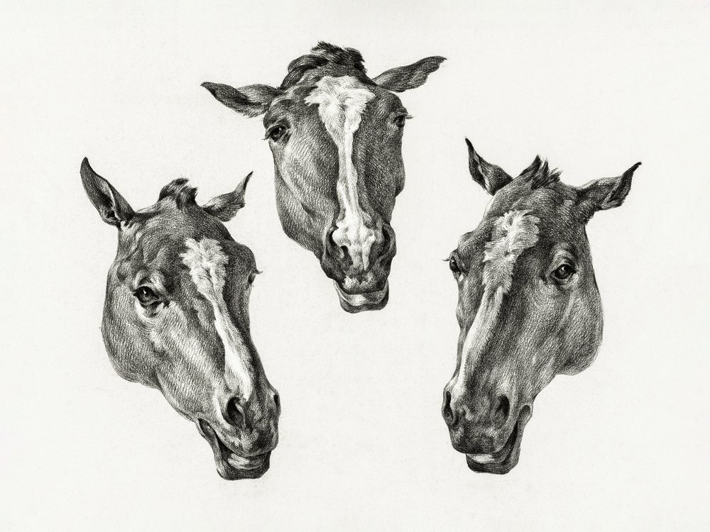 Drie paardenkoppen (1812) door Jean Bernard