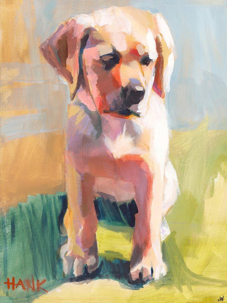 Hank door Jenny Westenhofer