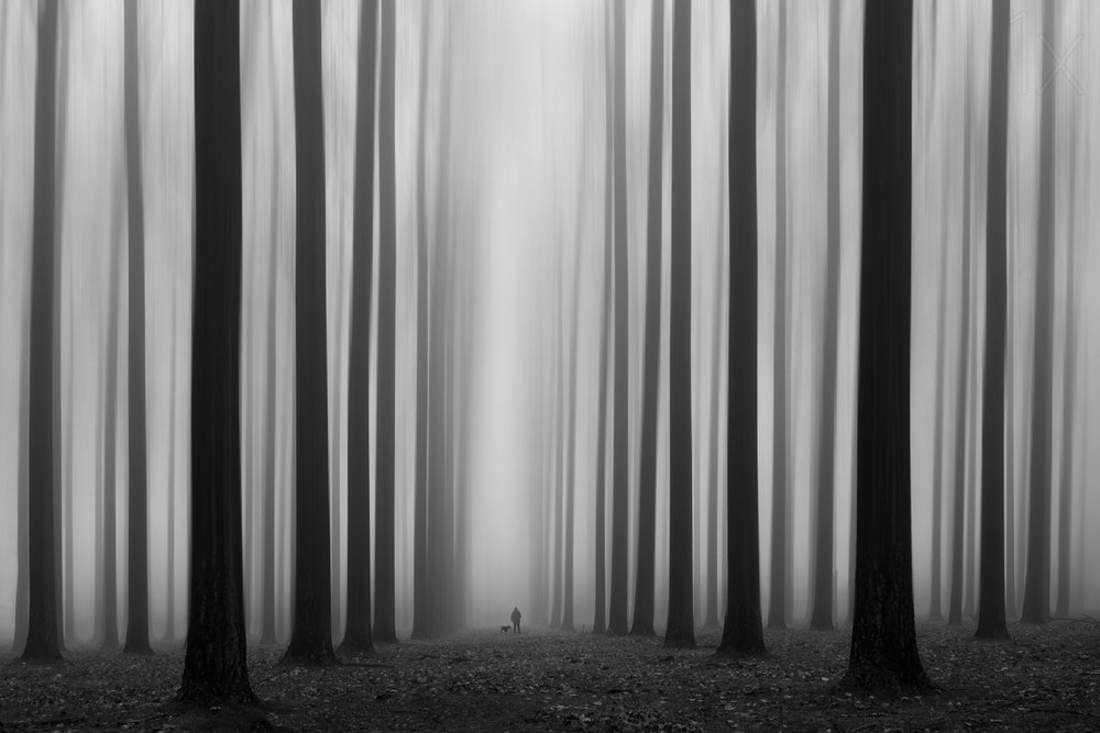 Mistig bospad door Jochen Bongaerts