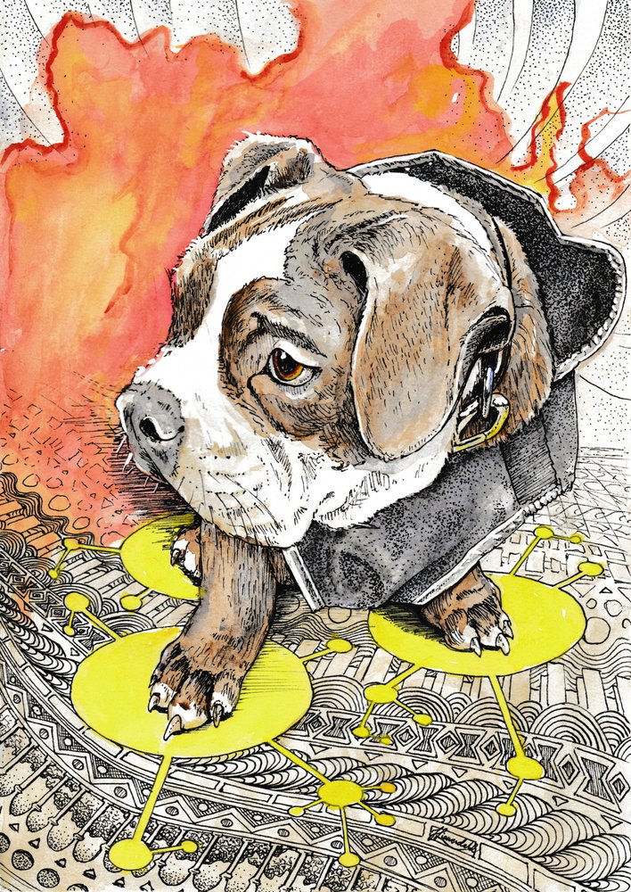 De vurige reis van de puppy door Johan Liewendahl