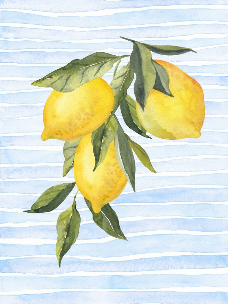 Zonnige citrus op blauw door Jolly and Dash
