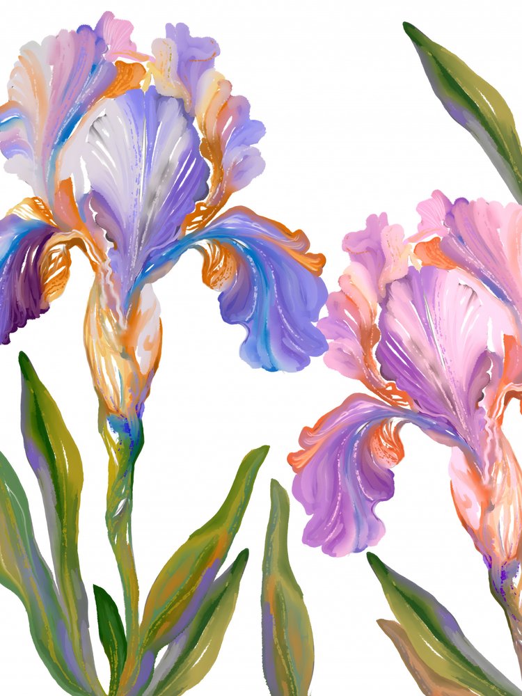 Kleurrijke irissen in bloei door Josie George