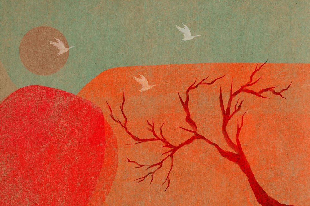 Woestijnvogels bij zonsondergang door Josie George