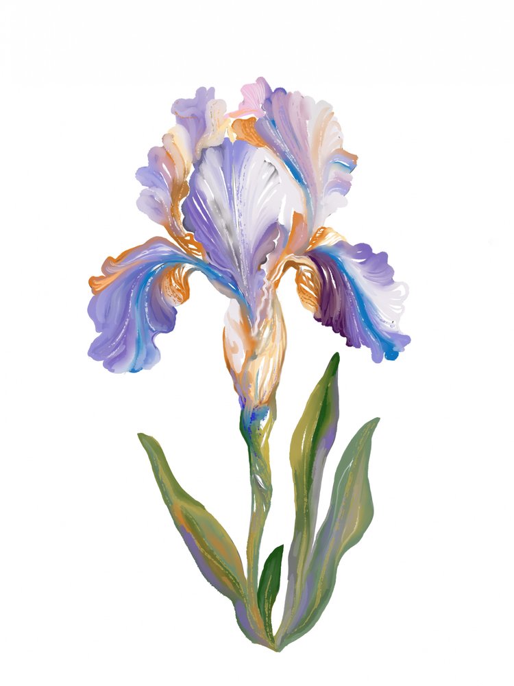 Levendige, schilderachtige iris door Josie George