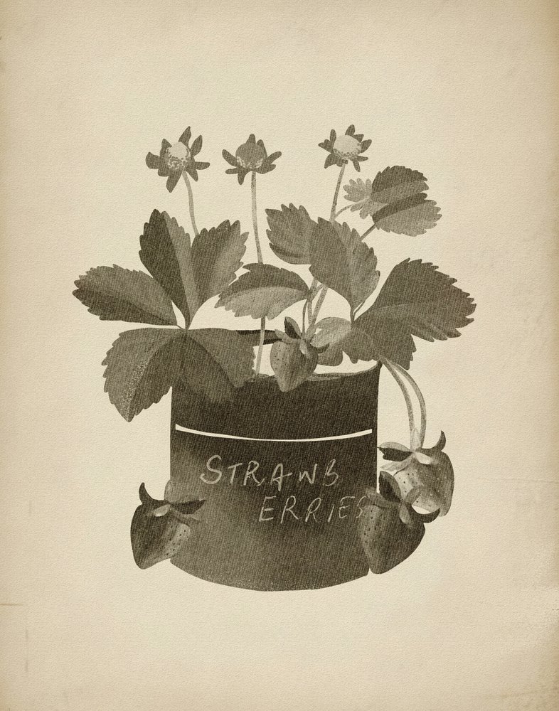 Vintage illustratie van aardbeien door Josie George
