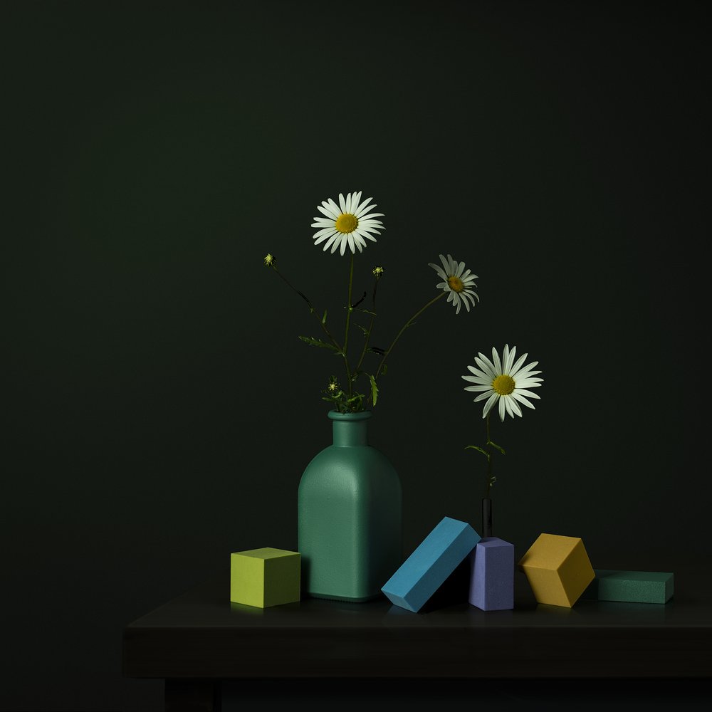 Daisy-vaas met geometrische blokken door Juan Antonio Palacios