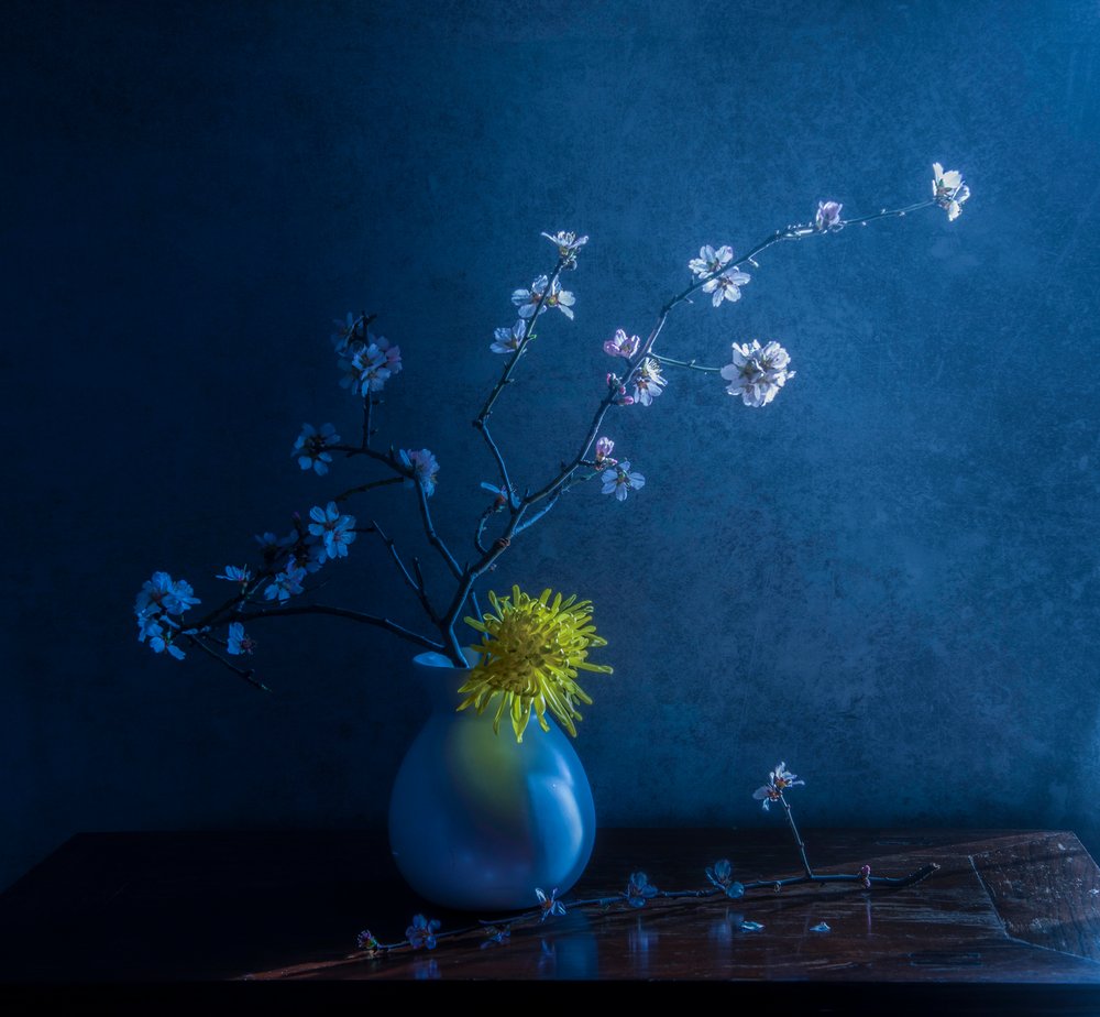 Blauwe bloesems en vaas door Judy Tseng