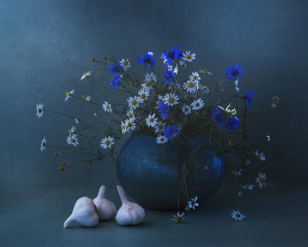 Stilleven met blauwe madeliefjes en knoflook door Judy Tseng