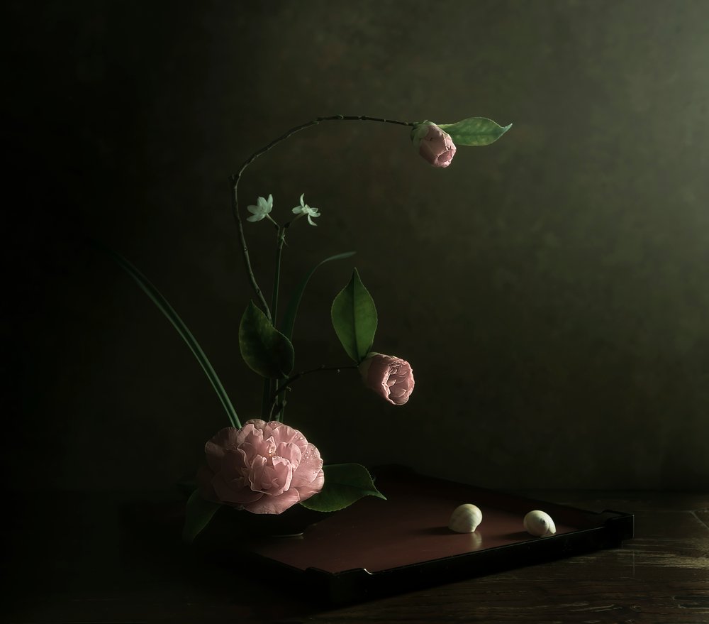 Roze camelia-ikebana door Judy Tseng