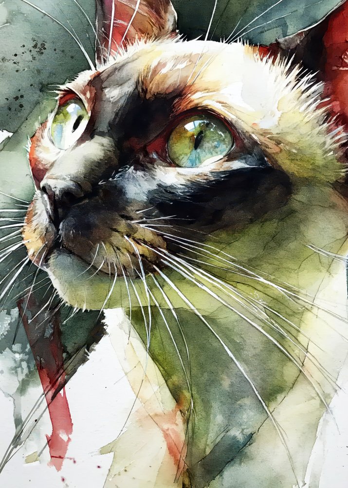 De levendige blik van een Siamese kat door Justyna Jaszke