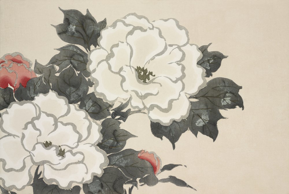 Bloemen van Momoyogusa door Kamisaka Sekka