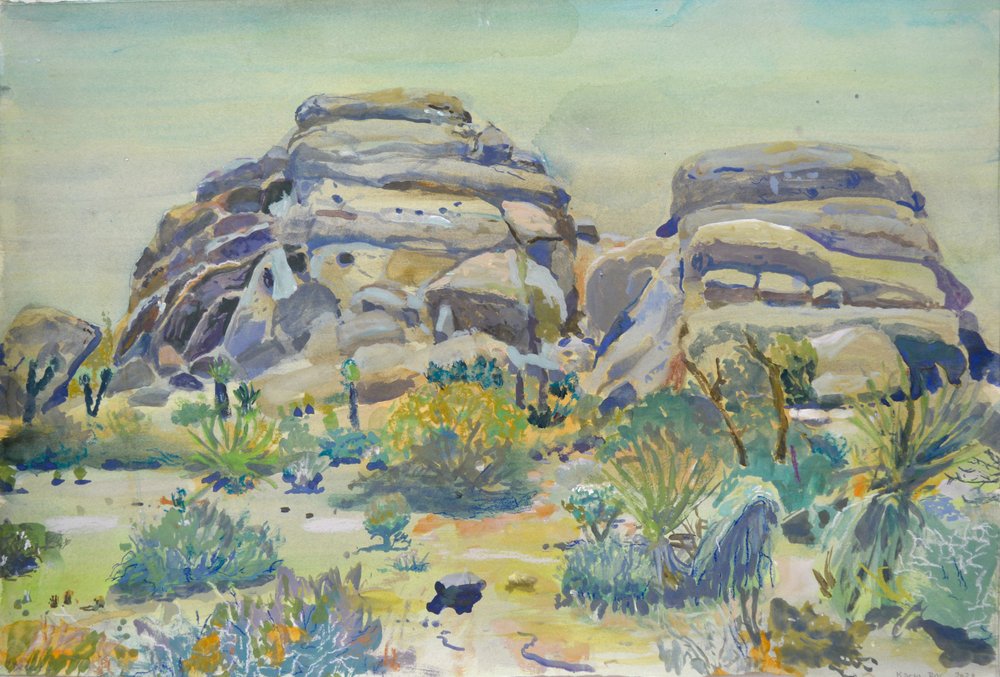 Landschap van Joshua Tree door Karin Bos