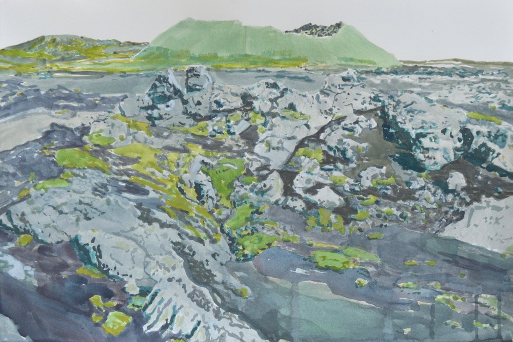 Bemoste vulkanische landschap door Karin Bos
