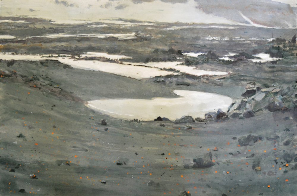 Scherp toendra-landschap door Karin Bos