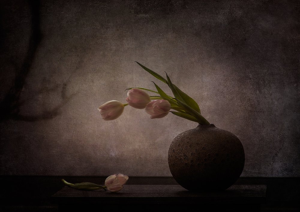 Elegante stemmige tulpen door Katarina Holmström