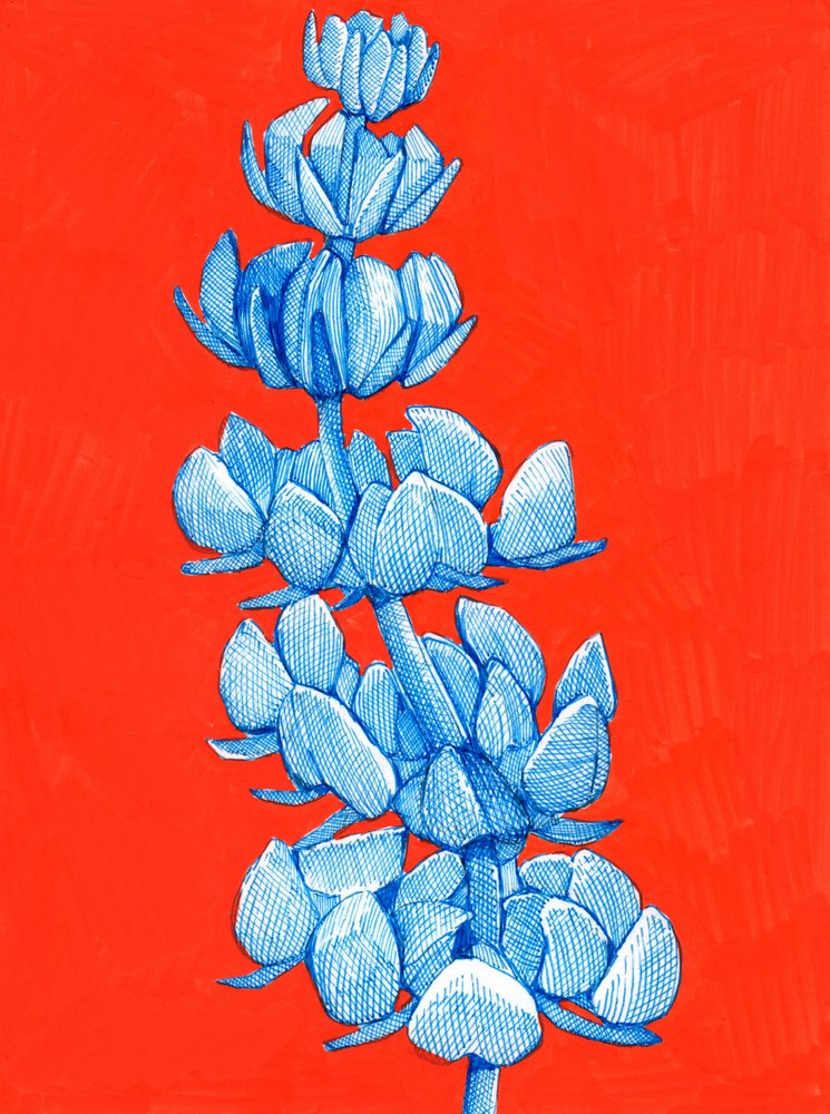 Gedurfde blauwe bloem door Katie O'Shea