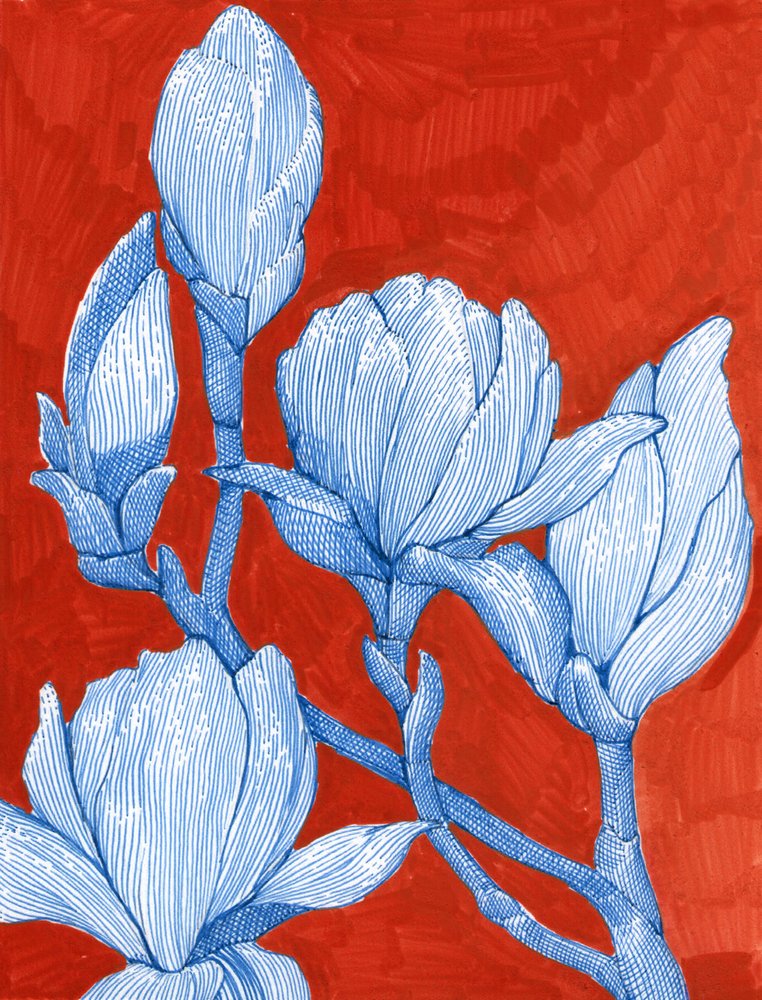 Gedurfde blauwe magnolia