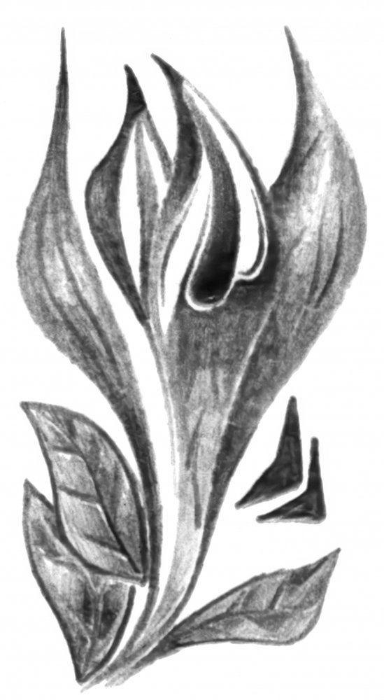  door Kulik