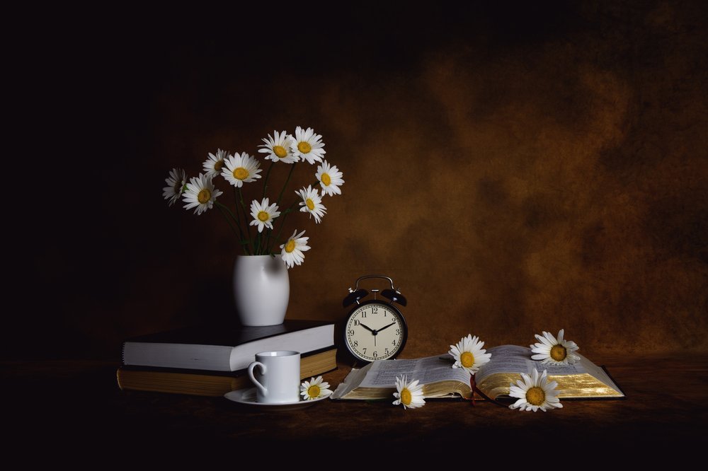 Daisies Books Ochtendrust door Leah Xu