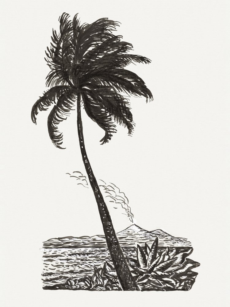 Palmboom met een eiland (ca. 1891–1941) door Leo Gestel