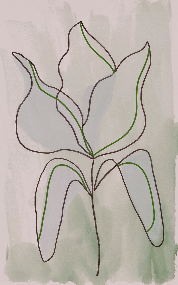 Minimalistische botanische schets door Lori Ann Folz