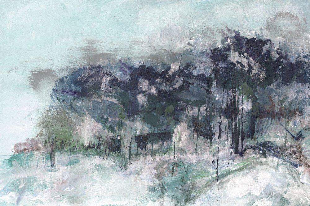 Mistig winterbos door Lori Ann Folz