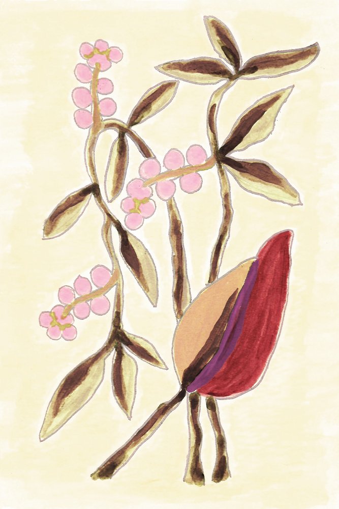 Pink Berry Botanicals door Lori Ann Folz