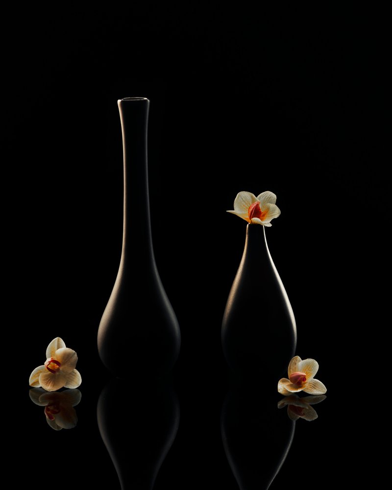 Elegante orchideeënreflecties door Louie Luo