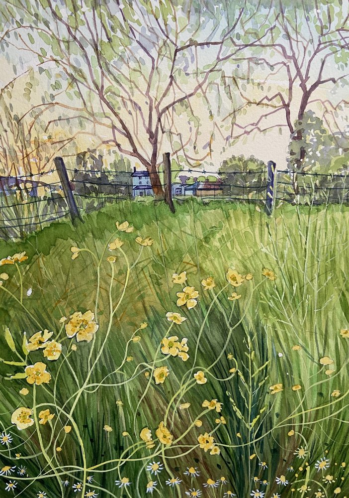 Weidebloemen en een hek door Luisa Millicent