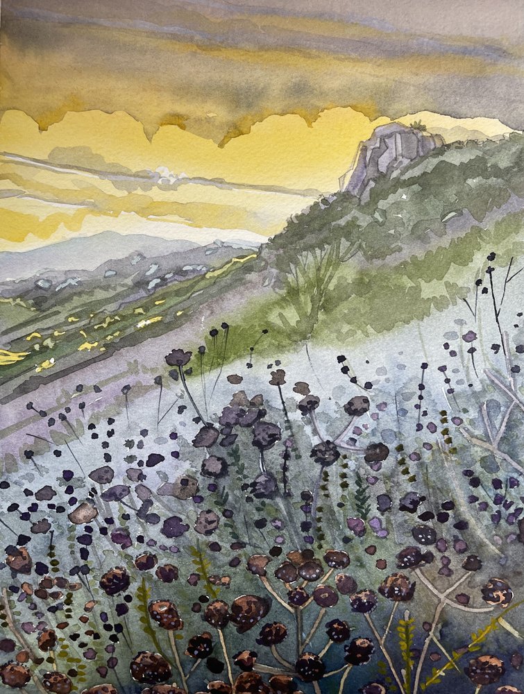 Zonsondergang in de bergen en wilde bloemen door Luisa Millicent