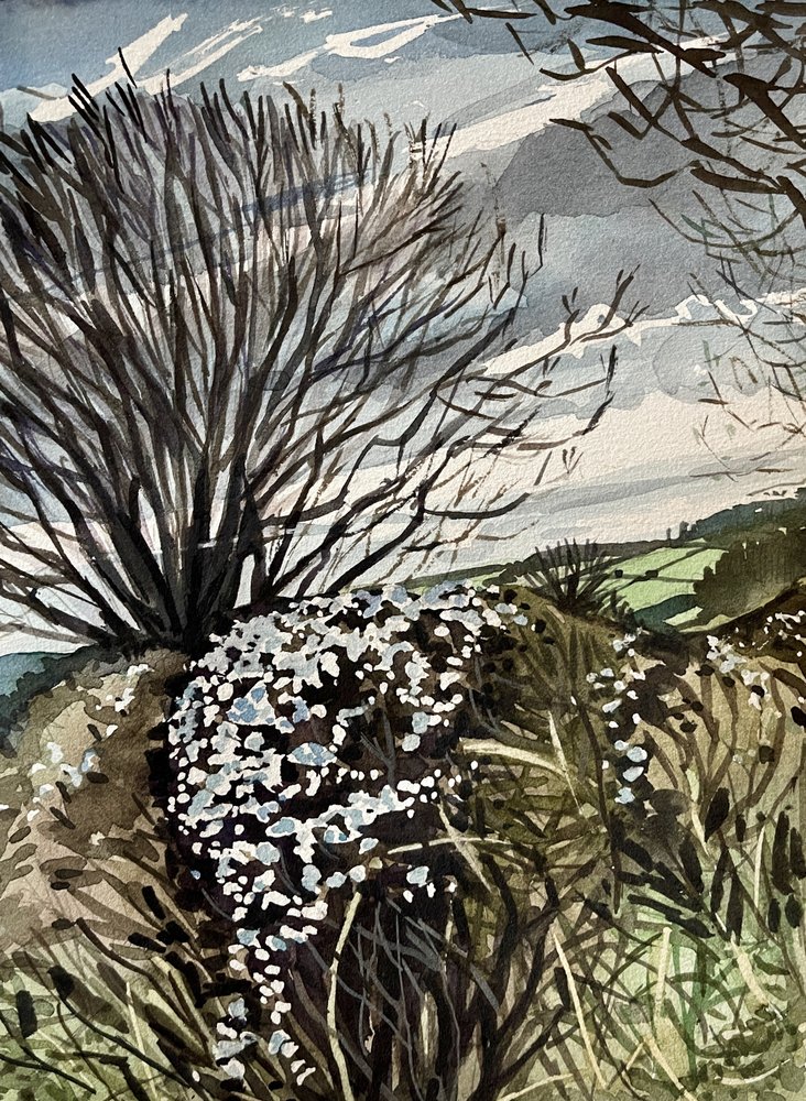 Bloei op het platteland in de winter door Luisa Millicent