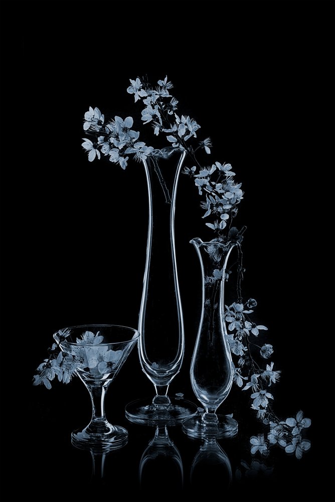 Blauwe bloemen in glazen vazen door Lydia Jacobs