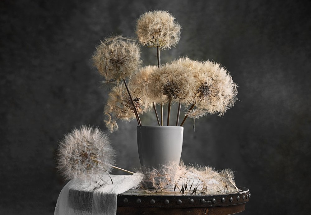 Tere paardenbloemen door Lydia Jacobs