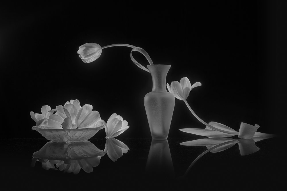 Elegante zwart-witte tulpen door Lydia Jacobs
