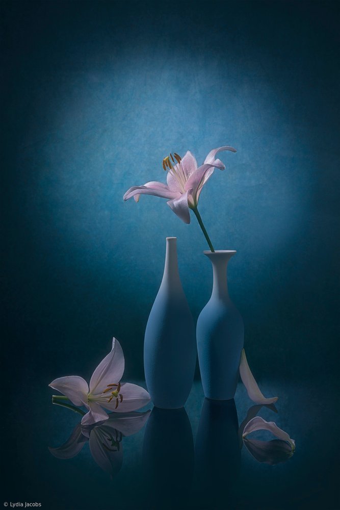 Elegante blauwe lelies door Lydia Jacobs