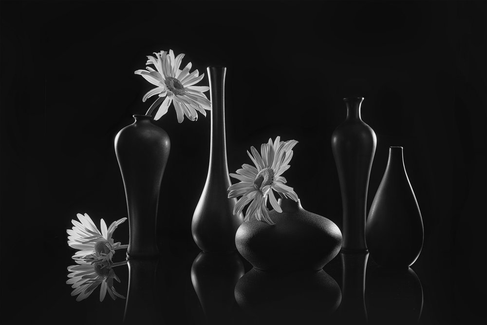 Elegant stilleven met madeliefjes door Lydia Jacobs