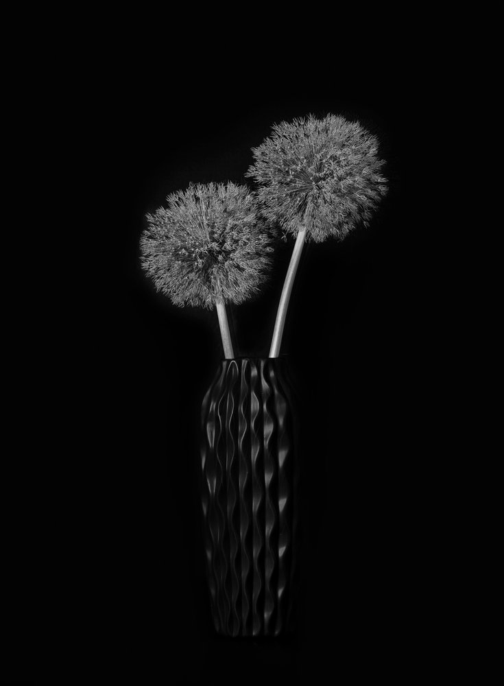 Elegante paardenbloemvaas door Lydia Jacobs