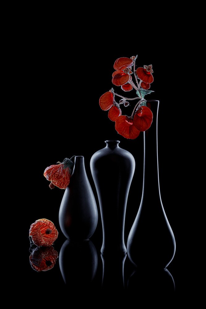 Elegante donkere bloemen door Lydia Jacobs