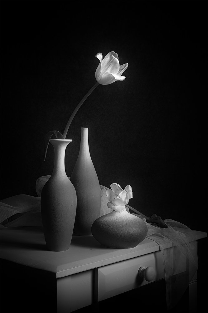 Elegant stilleven met tulpen door Lydia Jacobs