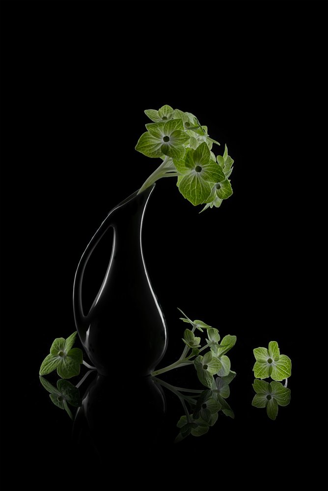 Groene bloesems – Reflectie door Lydia Jacobs