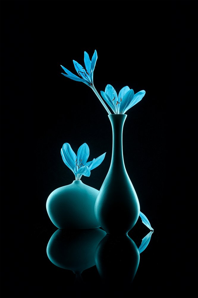Stralend blauw stilleven door Lydia Jacobs